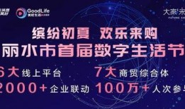 爆料丽水数字网红视频,揭秘网红背后的数字魅力