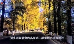 娱乐吃瓜君的原创,吃瓜君带你领略幕后风云