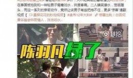 老白大爆料视频全集,视频全集深度解析