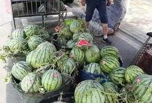 枣庄吃瓜网红事件,网络舆论的风暴与反思