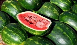 北美网红吃瓜视频大全免费观看,免费观看，一网打尽热门视频