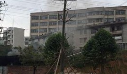 信宜中学爆料新闻,揭秘校园风云事件背后的真相