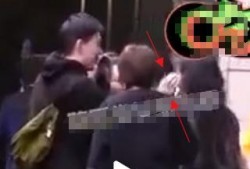 狗仔爆料旁白视频大全集,揭秘娱乐圈幕后真相视频全集