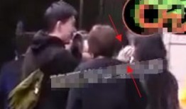 狗仔爆料旁白视频大全集,揭秘娱乐圈幕后真相视频全集