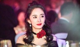 明星娱乐圈最新爆料,明星背后的惊人真相