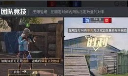 流浪者爆料视频大全集播放,揭秘街头生活百态