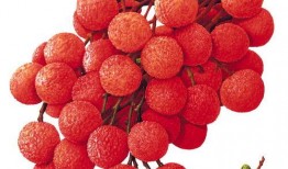 荔枝娱乐圈吃瓜爆料,荔枝吃瓜爆料，明星幕后故事大曝光