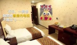 28个旅馆房间在线观看,在线揭秘独特住宿体验之旅