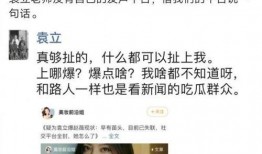 袁丽爆料赵薇视频大全,揭秘娱乐圈背后的秘密