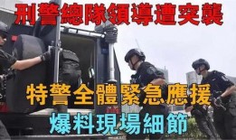 刑警爆料受伤视频大全,揭秘勇敢无畏的守护者